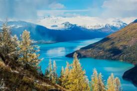 ced94d8933158bcc.png.thumb