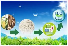 可降解塑料行业深度钻研