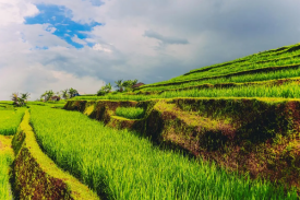 现代农业田园综合体建设项目可行性钻研汇报