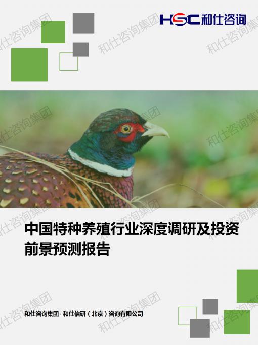 俄罗斯专享会·(中国区)官网