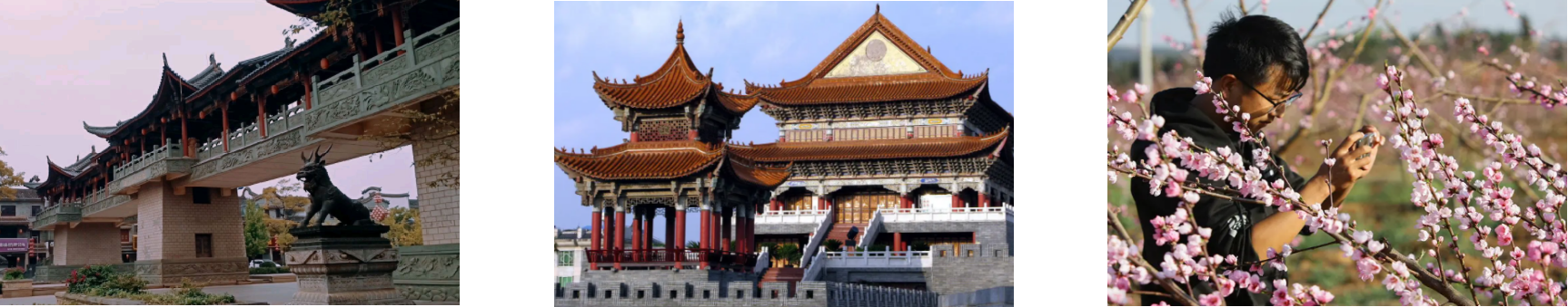 俄罗斯专享会·(中国区)官网