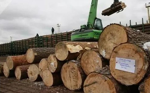 俄罗斯专享会·(中国区)官网