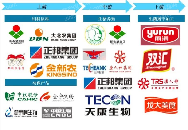 俄罗斯专享会·(中国区)官网