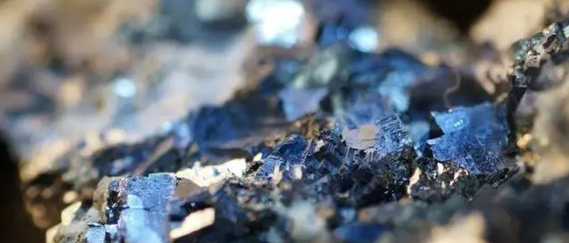 俄罗斯专享会·(中国区)官网