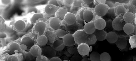 俄罗斯专享会·(中国区)官网