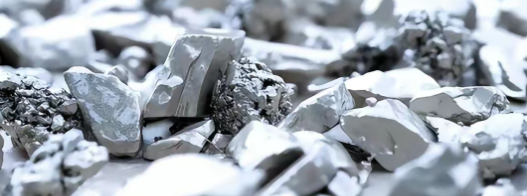 俄罗斯专享会·(中国区)官网