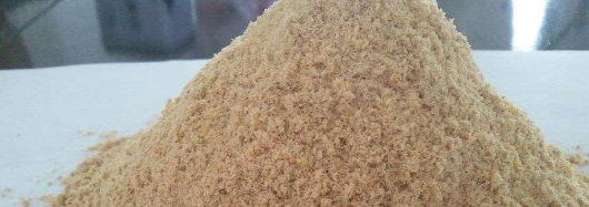 俄罗斯专享会·(中国区)官网