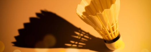 俄罗斯专享会·(中国区)官网