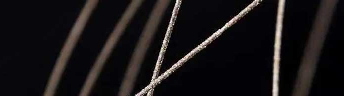 俄罗斯专享会·(中国区)官网