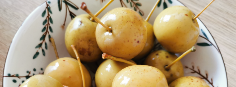 俄罗斯专享会·(中国区)官网