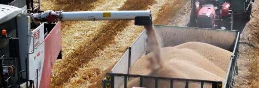 俄罗斯专享会·(中国区)官网