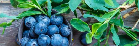 俄罗斯专享会·(中国区)官网