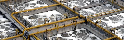 俄罗斯专享会·(中国区)官网