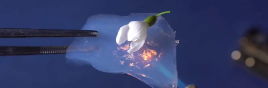 俄罗斯专享会·(中国区)官网