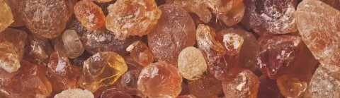 俄罗斯专享会·(中国区)官网