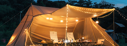 俄罗斯专享会·(中国区)官网