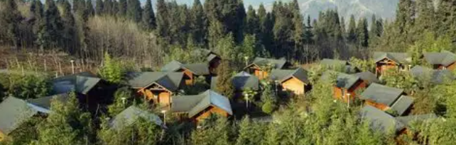 俄罗斯专享会·(中国区)官网