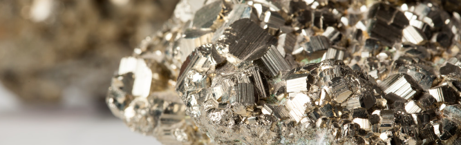 俄罗斯专享会·(中国区)官网