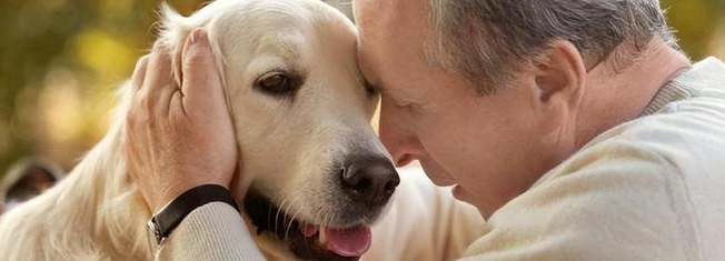 俄罗斯专享会·(中国区)官网