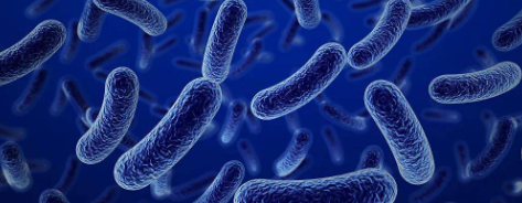 俄罗斯专享会·(中国区)官网