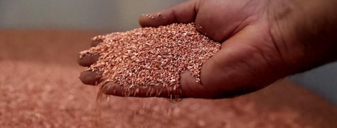 俄罗斯专享会·(中国区)官网