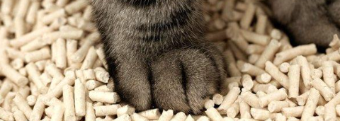 俄罗斯专享会·(中国区)官网