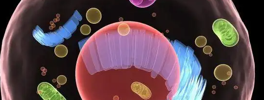 俄罗斯专享会·(中国区)官网