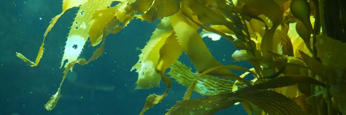 俄罗斯专享会·(中国区)官网