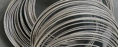 俄罗斯专享会·(中国区)官网