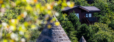 俄罗斯专享会·(中国区)官网