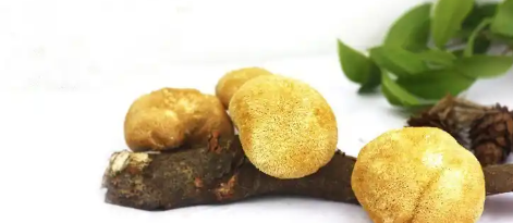 俄罗斯专享会·(中国区)官网