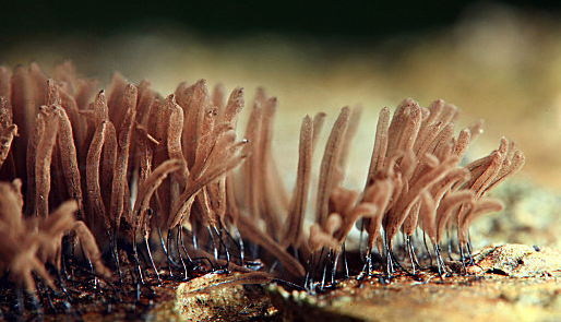 俄罗斯专享会·(中国区)官网