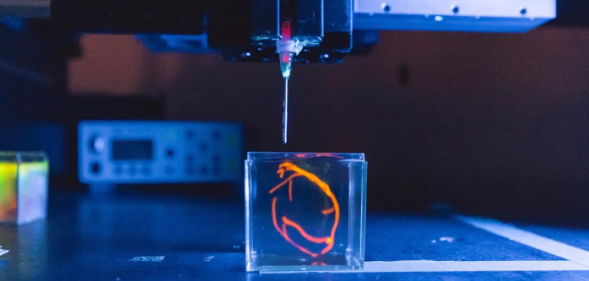 俄罗斯专享会·(中国区)官网