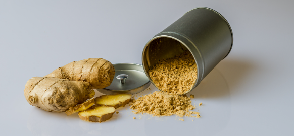 俄罗斯专享会·(中国区)官网