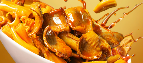 俄罗斯专享会·(中国区)官网