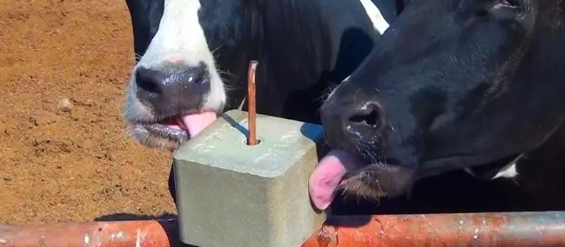 俄罗斯专享会·(中国区)官网