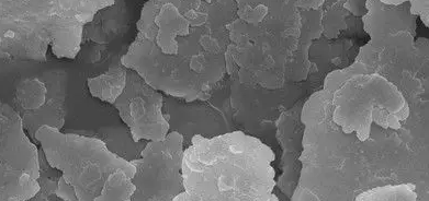 俄罗斯专享会·(中国区)官网