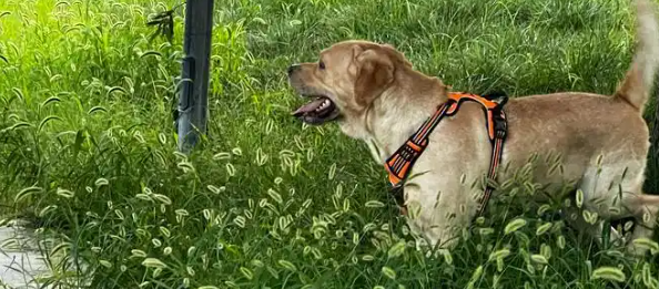 俄罗斯专享会·(中国区)官网