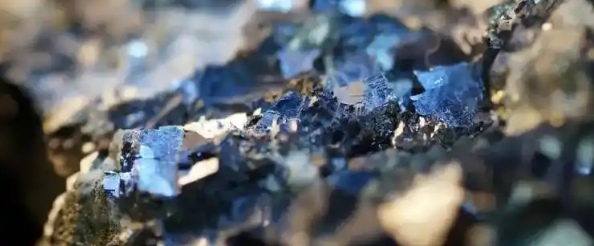 俄罗斯专享会·(中国区)官网