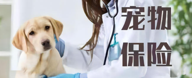 俄罗斯专享会·(中国区)官网