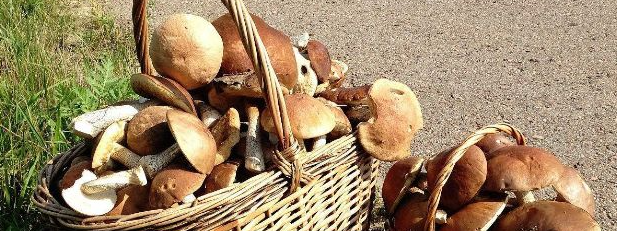 俄罗斯专享会·(中国区)官网