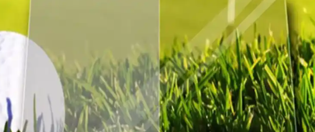 俄罗斯专享会·(中国区)官网