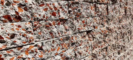 俄罗斯专享会·(中国区)官网