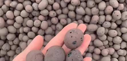 俄罗斯专享会·(中国区)官网