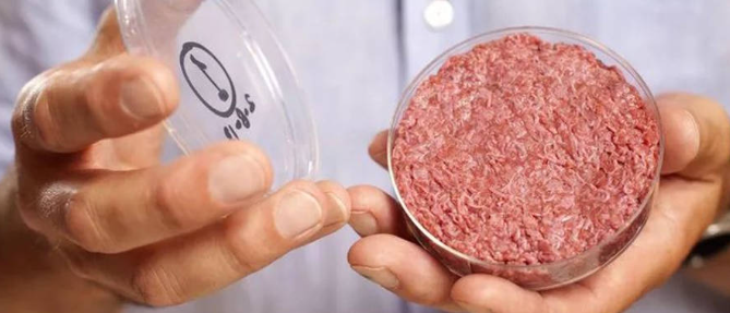 俄罗斯专享会·(中国区)官网