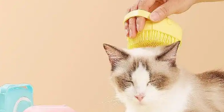 俄罗斯专享会·(中国区)官网