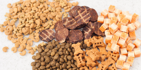 俄罗斯专享会·(中国区)官网