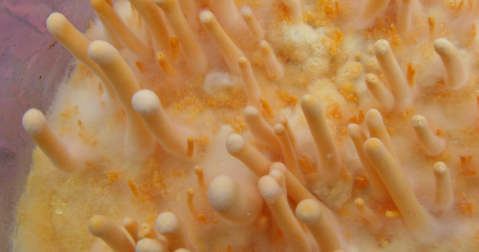 俄罗斯专享会·(中国区)官网