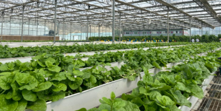 俄罗斯专享会·(中国区)官网