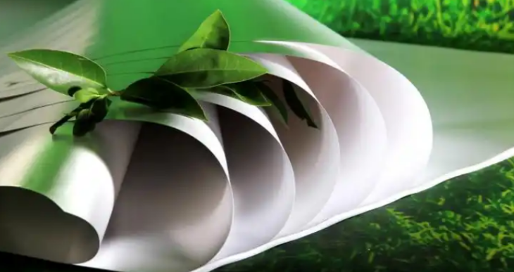 俄罗斯专享会·(中国区)官网